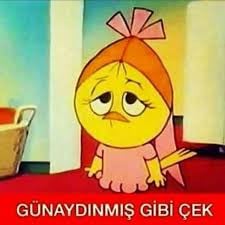 kullanıcı tarafından yüklenmiş görsel