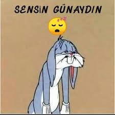 kullanıcı tarafından yüklenmiş görsel