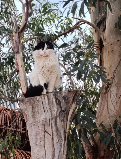 kullanıcı tarafından yüklenmiş görsel
