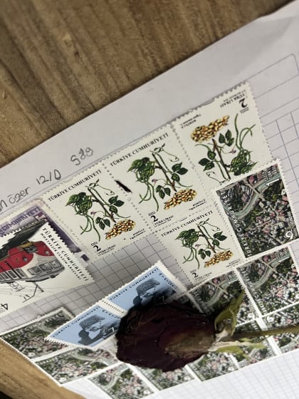 kullanıcı tarafından yüklenmiş görsel