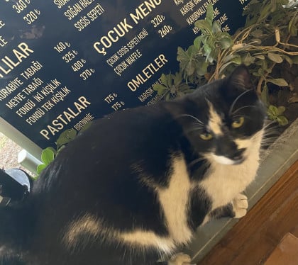 kullanıcı tarafından yüklenmiş görsel