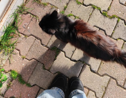 kullanıcı tarafından yüklenmiş görsel