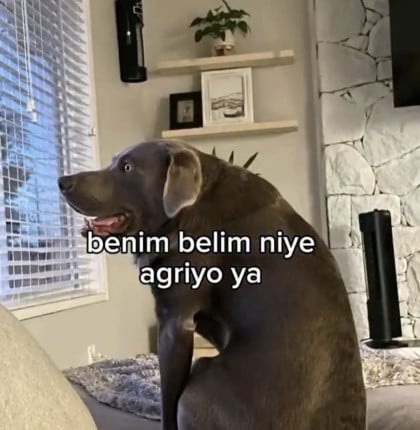 kullanıcı tarafından yüklenmiş görsel