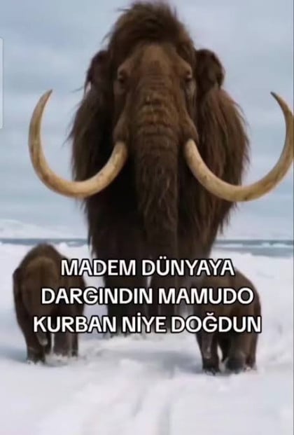 kullanıcı tarafından yüklenmiş görsel