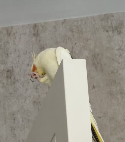 kullanıcı tarafından yüklenmiş görsel