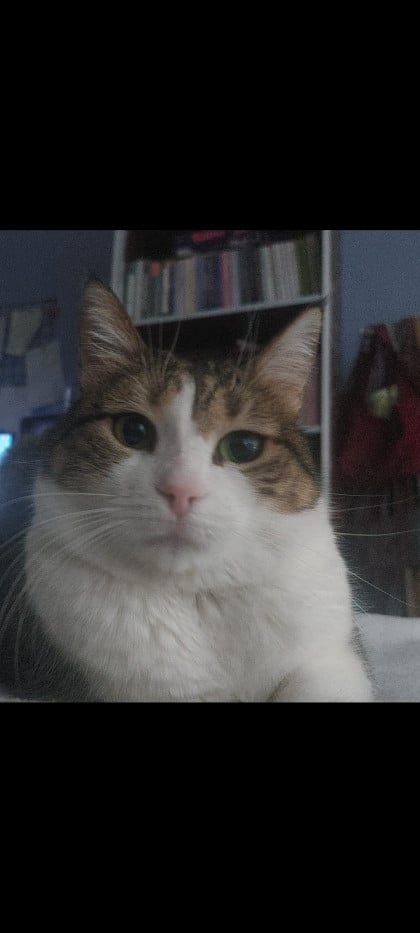 kullanıcı tarafından yüklenmiş görsel