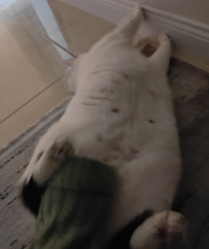 kullanıcı tarafından yüklenmiş görsel