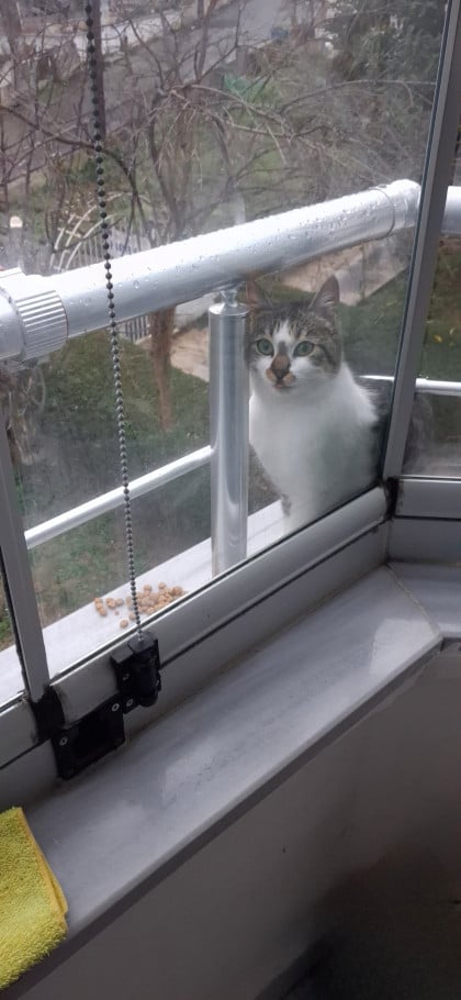 kullanıcı tarafından yüklenmiş görsel