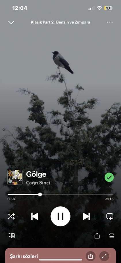 kullanıcı tarafından yüklenmiş görsel