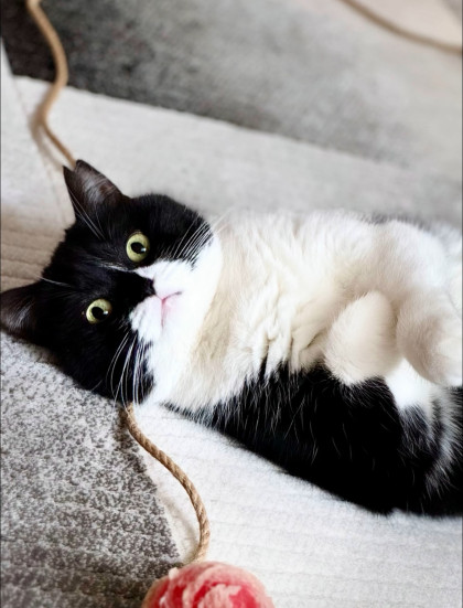 kullanıcı tarafından yüklenmiş görsel