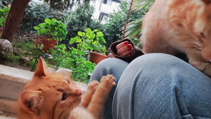 kullanıcı tarafından yüklenmiş görsel