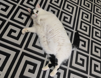 kullanıcı tarafından yüklenmiş görsel