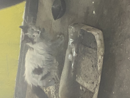 kullanıcı tarafından yüklenmiş görsel