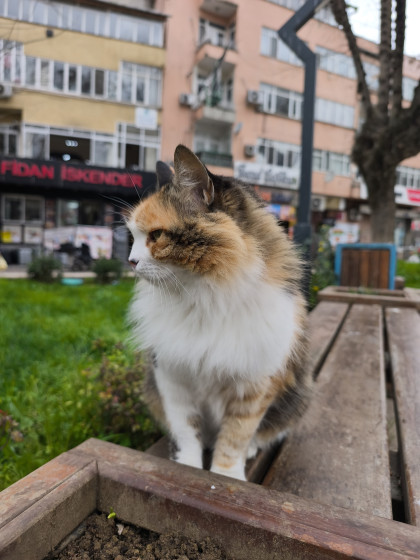 kullanıcı tarafından yüklenmiş görsel