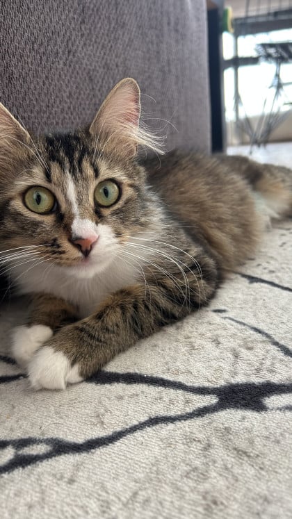 kullanıcı tarafından yüklenmiş görsel