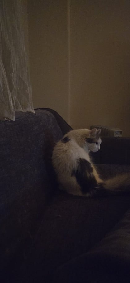 kullanıcı tarafından yüklenmiş görsel