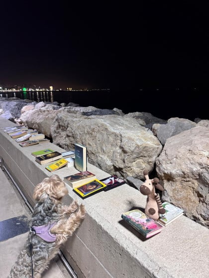 kullanıcı tarafından yüklenmiş görsel