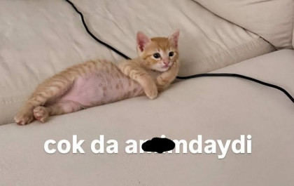 kullanıcı tarafından yüklenmiş görsel