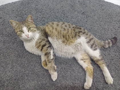 kullanıcı tarafından yüklenmiş görsel