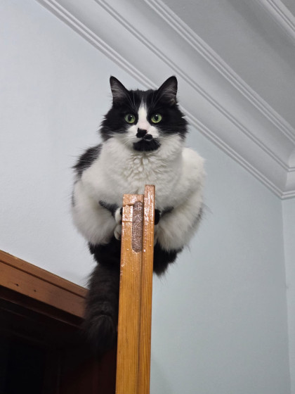 kullanıcı tarafından yüklenmiş görsel