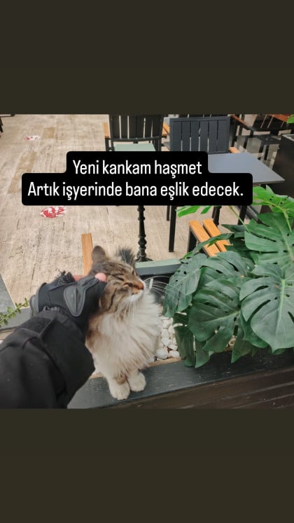 kullanıcı tarafından yüklenmiş görsel