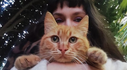 kullanıcı tarafından yüklenmiş görsel