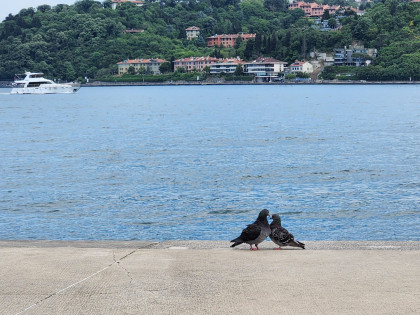 kullanıcı tarafından yüklenmiş görsel