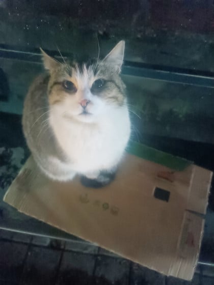 kullanıcı tarafından yüklenmiş görsel