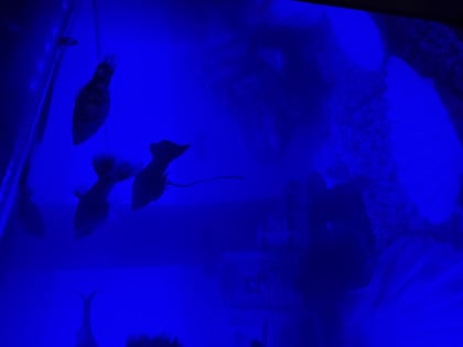 kullanıcı tarafından yüklenmiş görsel