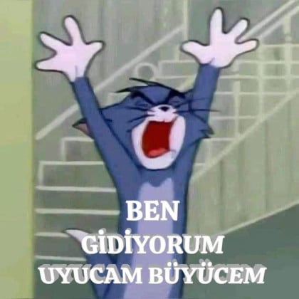 kullanıcı tarafından yüklenmiş görsel