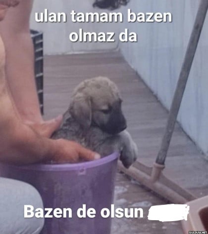 kullanıcı tarafından yüklenmiş görsel