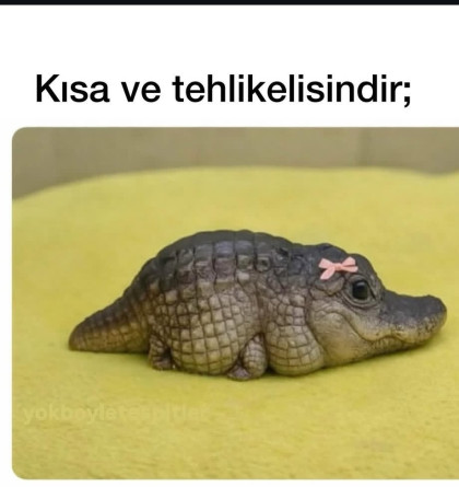 kullanıcı tarafından yüklenmiş görsel