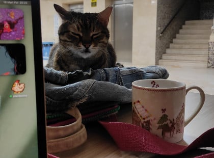 kullanıcı tarafından yüklenmiş görsel