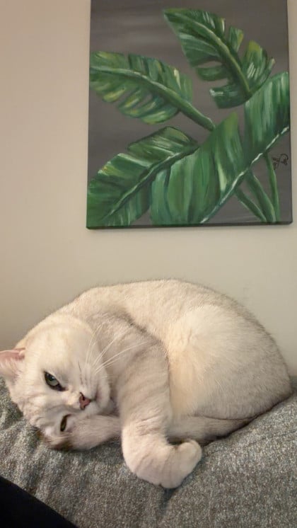 kullanıcı tarafından yüklenmiş görsel