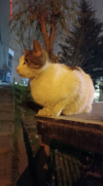 kullanıcı tarafından yüklenmiş görsel