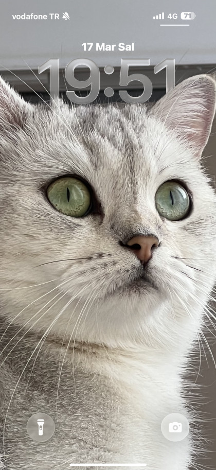 kullanıcı tarafından yüklenmiş görsel