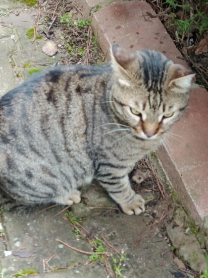 kullanıcı tarafından yüklenmiş görsel