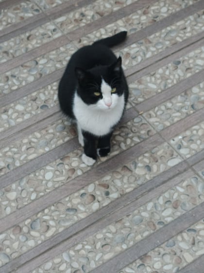 kullanıcı tarafından yüklenmiş görsel