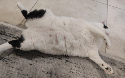 kullanıcı tarafından yüklenmiş görsel