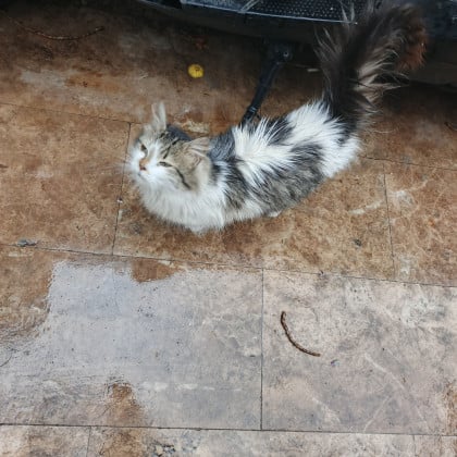 kullanıcı tarafından yüklenmiş görsel