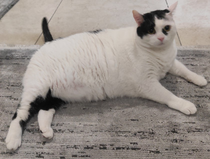 kullanıcı tarafından yüklenmiş görsel