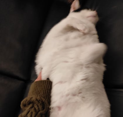 kullanıcı tarafından yüklenmiş görsel