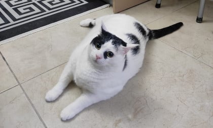 kullanıcı tarafından yüklenmiş görsel