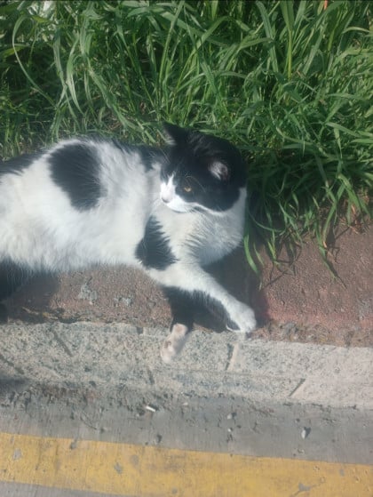 kullanıcı tarafından yüklenmiş görsel