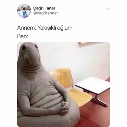 kullanıcı tarafından yüklenmiş görsel