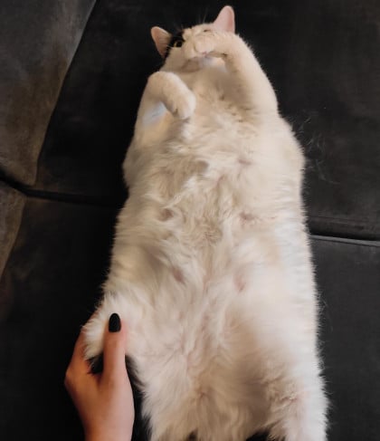 kullanıcı tarafından yüklenmiş görsel