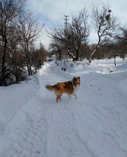kullanıcı tarafından yüklenmiş görsel