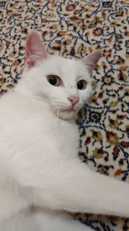 kullanıcı tarafından yüklenmiş görsel