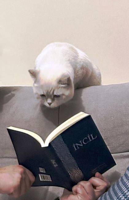 kullanıcı tarafından yüklenmiş görsel