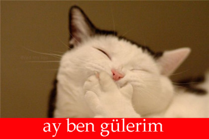 kullanıcı tarafından yüklenmiş görsel